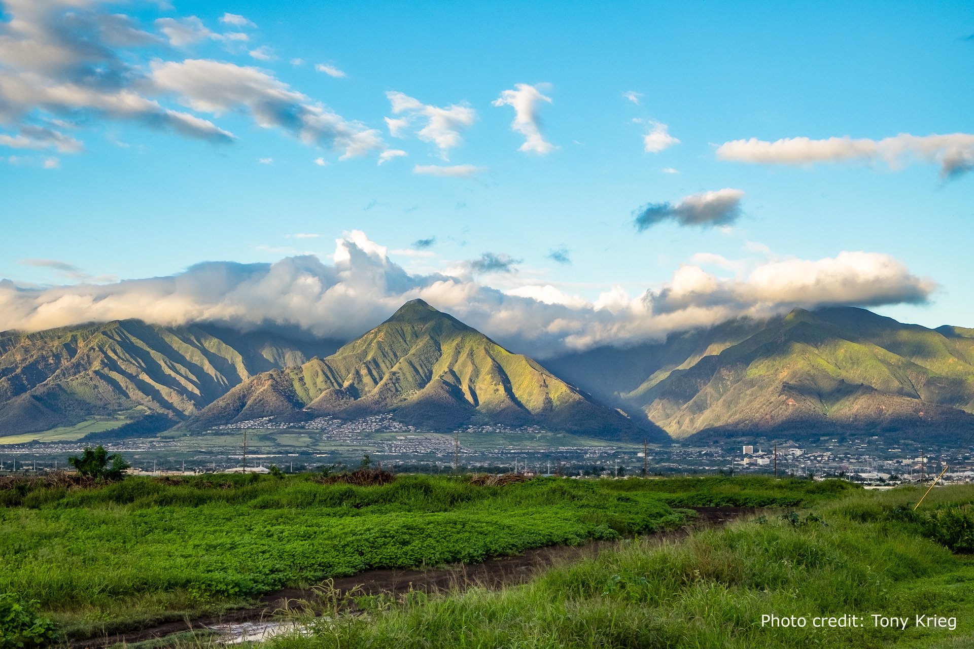 Historic street scene in Wailuku, Maui